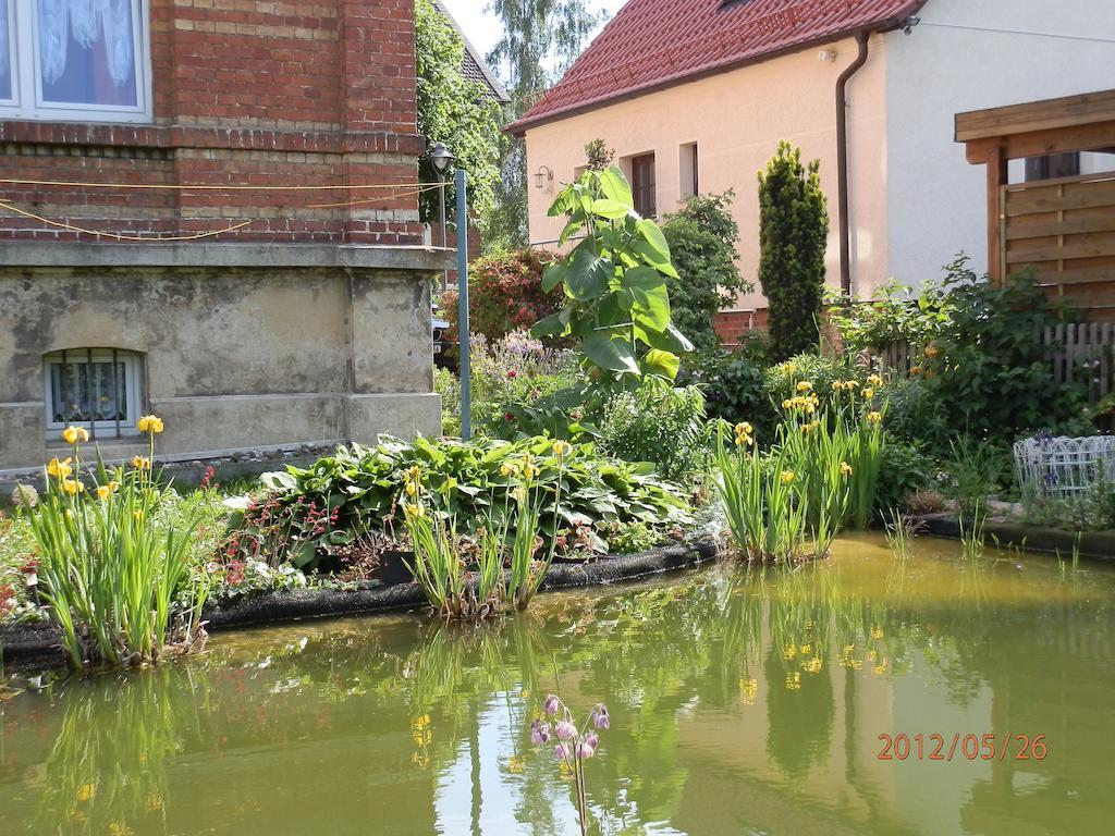 Ferienwohnung Fedler Blankenburg  Pokój zdjęcie